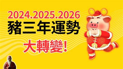 屬豬終身幸運色|2024豬年開運色速查